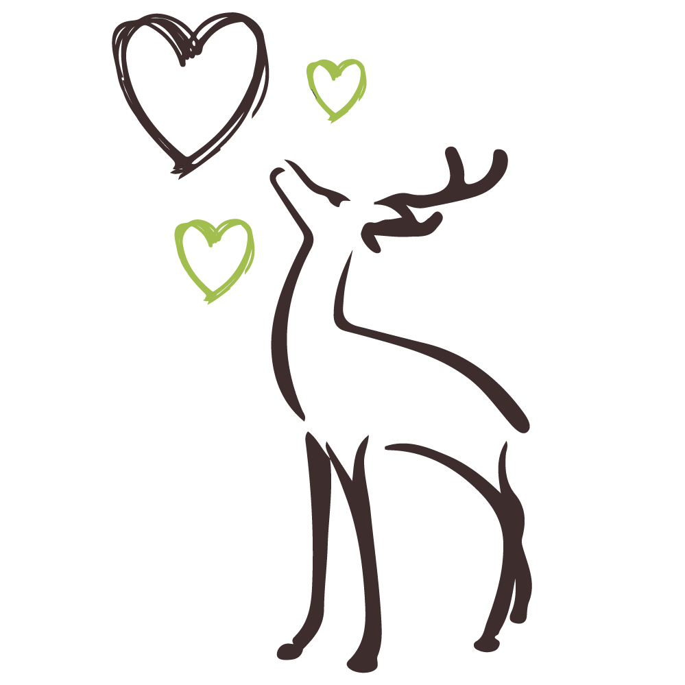 Mehr über den Artikel erfahren Komposition der Liebe