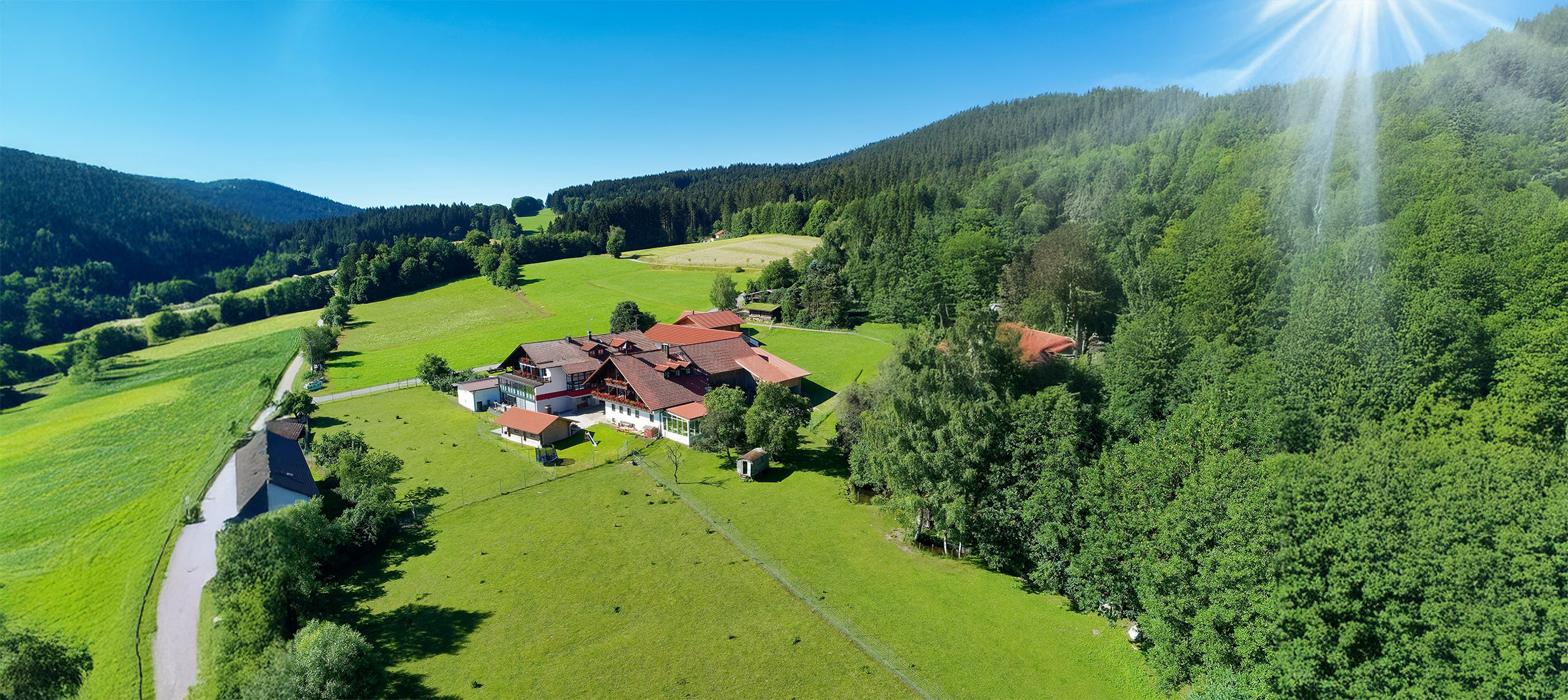 Mehr über den Artikel erfahren Sonnenschein am Hirschenstein